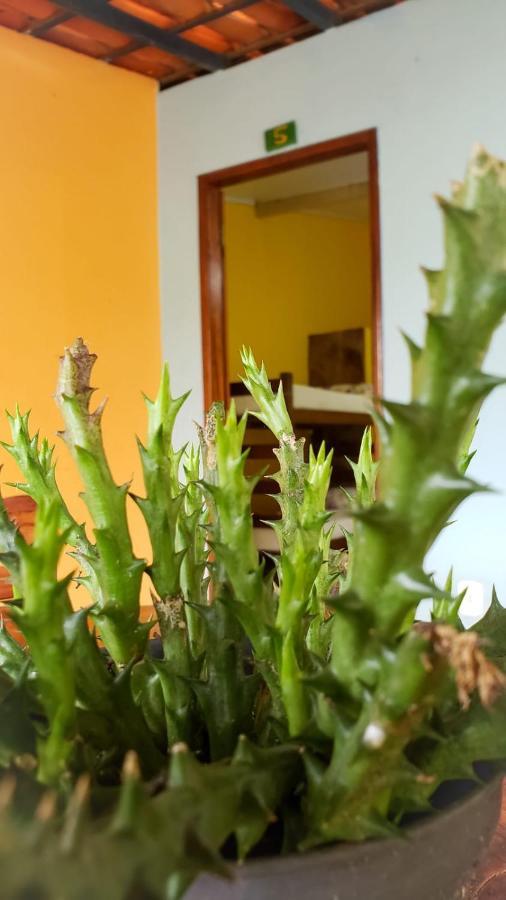 Pousada Pe De Serra Mucuge Ngoại thất bức ảnh